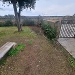 Il Gelso