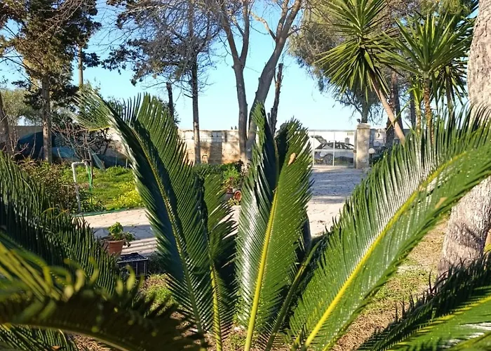 Il Gelso Holiday home *