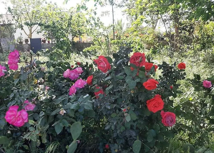 Hébergement de vacances Il Gelso Lecce